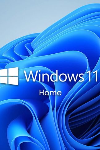 win11 home