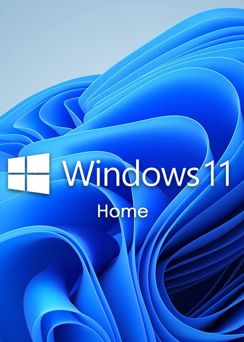win11 home