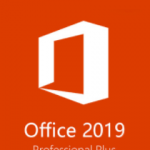 2019 Professional Plus CD Key Global